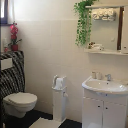 Privat Pani Danka Δωμάτια σε οικογενειακή κατοικία *