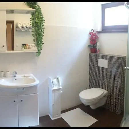 Privat Pani Danka Homestay