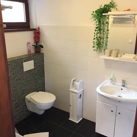 Δωμάτια σε οικογενειακή κατοικία Privat Pani Danka DolnyKubin